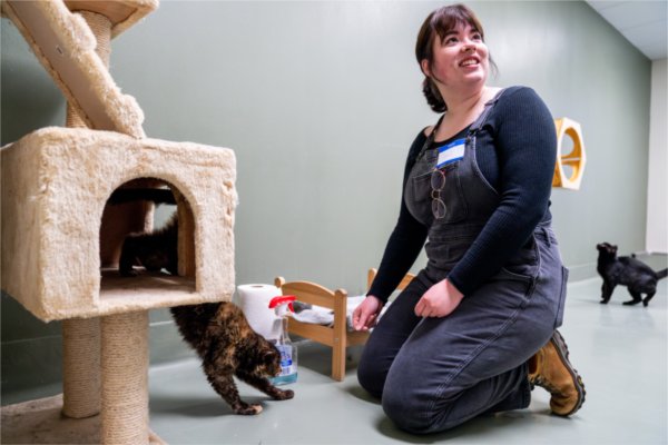 student kneels on floor to play with cat coming out of a cat tree inside a shelter room