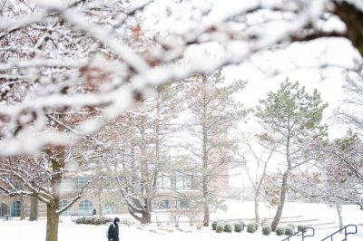  A lone person walks through a snow covered campus.