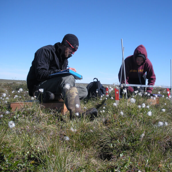 Alumni AJ Smith and Jessica Gregory sampling vegetation in Atqasuk, Alaska.
