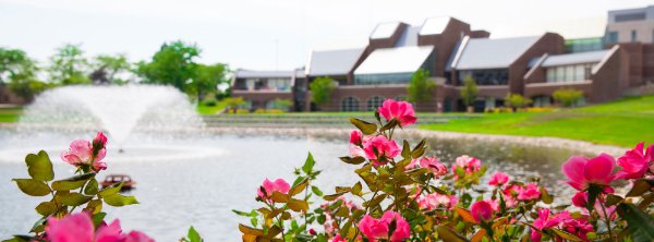 Pink flowers with Zumberge Pond and the Kirkhof Center in the background.