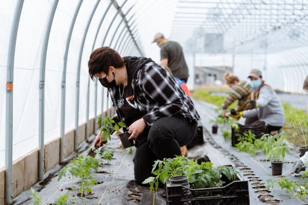 A volunteer plants crops inside of the New City Neighbors high tunnel greenhouse
