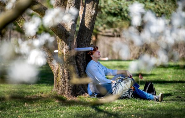  A college student rests their head against a tree with their eyes closed. 
