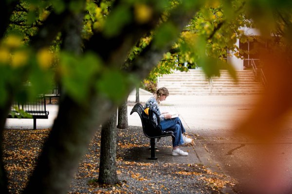  A person sitting at a bench and reading a book is seen in the background of colorful fall leaves.