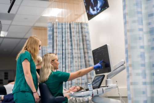 Students looking at a sonography machine.