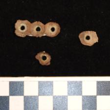 141-194 (document 19)