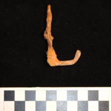 146-197 (document 2)