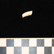 166-185 (document 10)