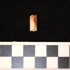 29-147 (document 19)