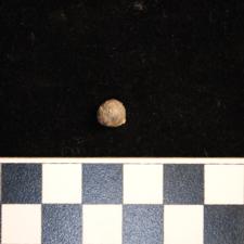 191-215 (document 1)