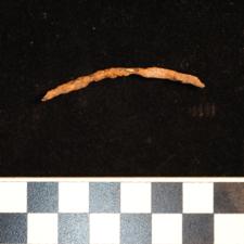 205-204 (document 4)