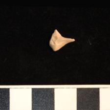 208-223 (document 14)