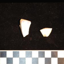 254-212 (document 11)