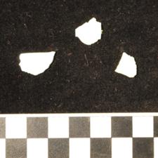 61-169 (document 18)