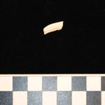 Thumbnail for 166-185 (document 1)