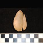 Thumbnail for 41-154 (document 1)