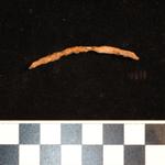 Thumbnail for 205-204 (document 1)