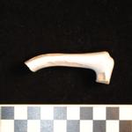 Thumbnail for 179-203 (document 6)