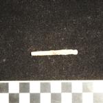 Thumbnail for 60-173 (document 2)