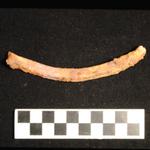 Thumbnail for 63-169 (document 3)