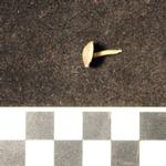 Thumbnail for 67-166 (document 6)