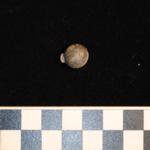 Thumbnail for 107-183 (document 9)