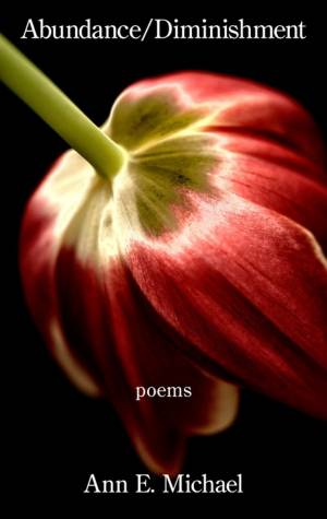 Abundance/Diminishment