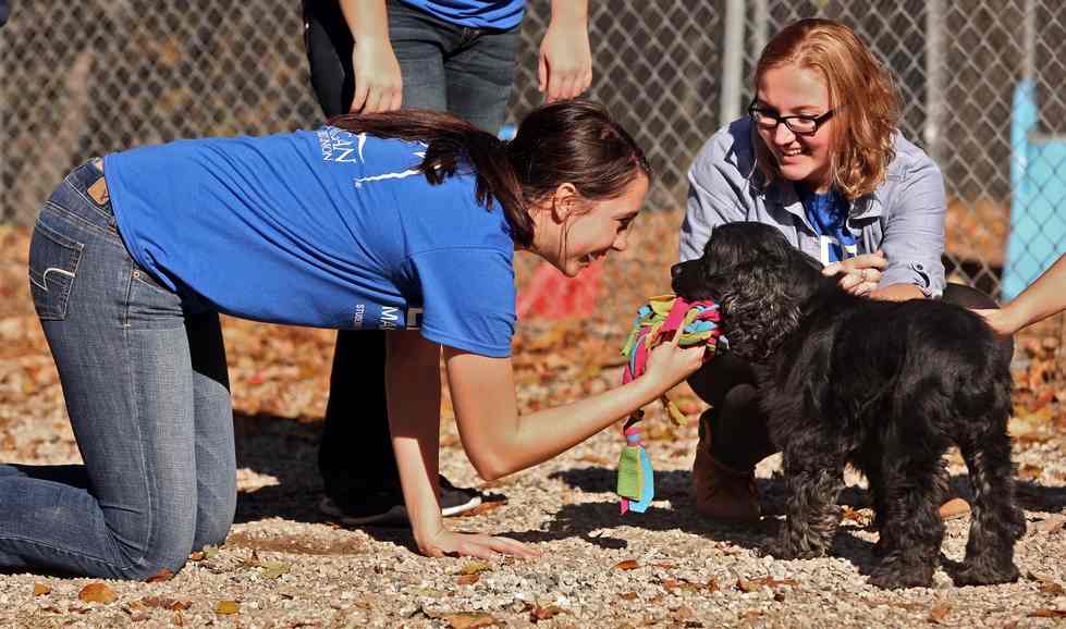 Two students in blue Make A Difference Day shirt petting a black dog
