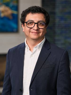 Manuel Pulido-Velasquez