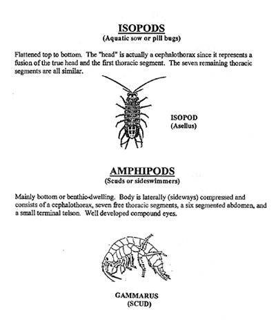 Instructor's Manual - Appendix D - Robert B. Annis Water Resources