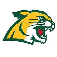 Northern Michigan Logo