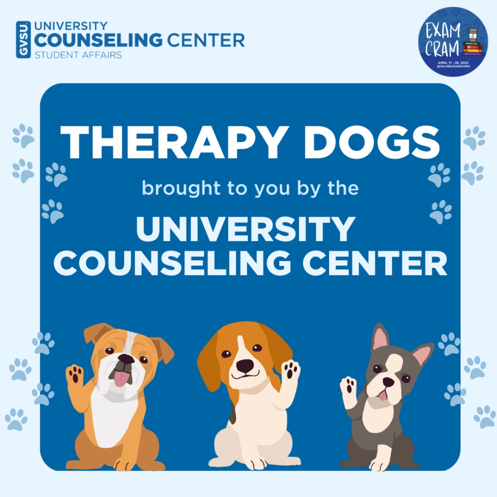 Therapy Dogs