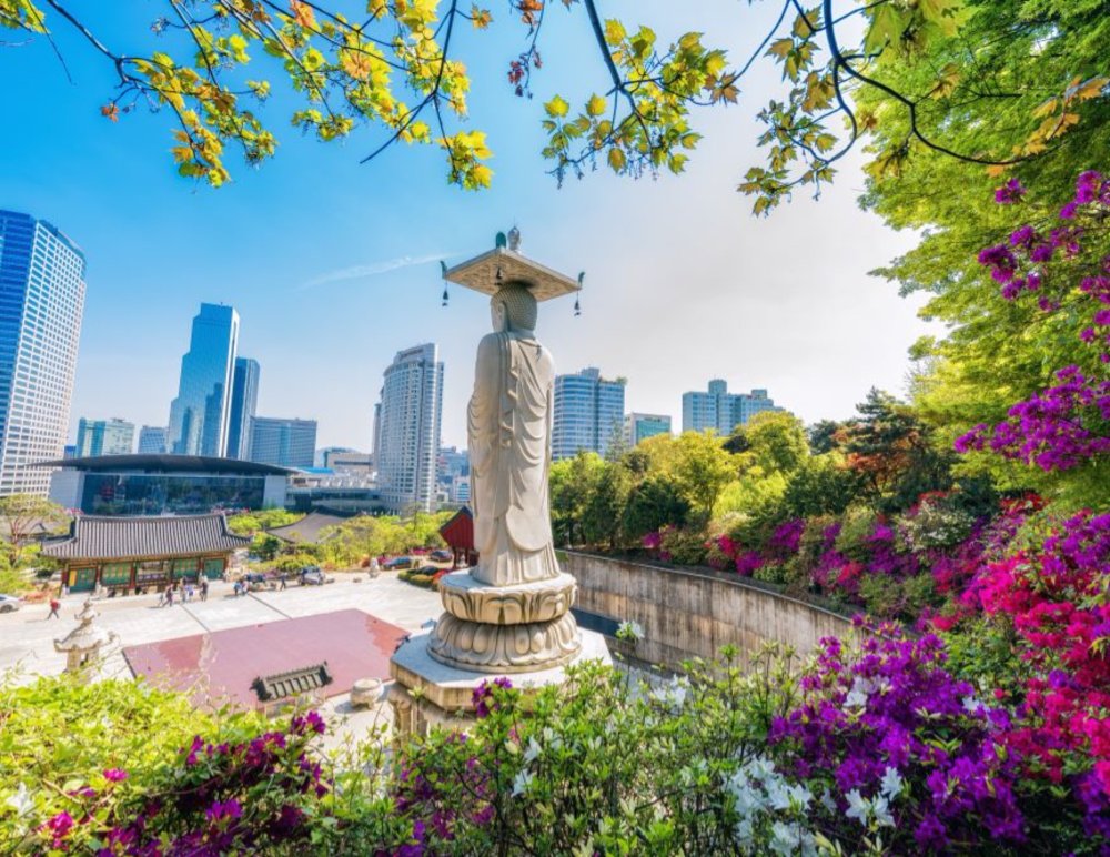 GVSU in Spain, Costa Rica & South Korea