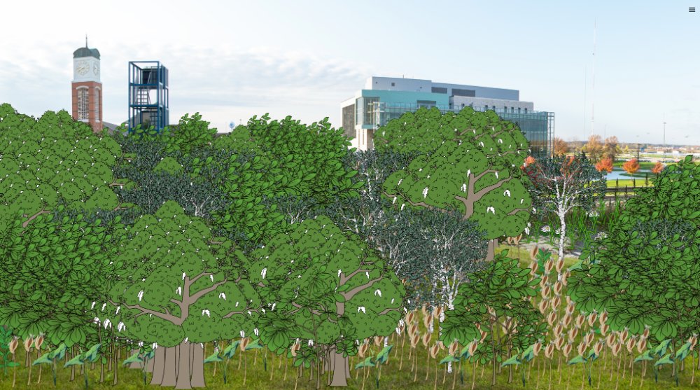 image of illustrated native plants over image of Valley Campus