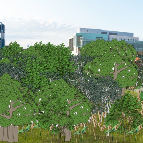 image of illustrated native plants over image of Valley Campus