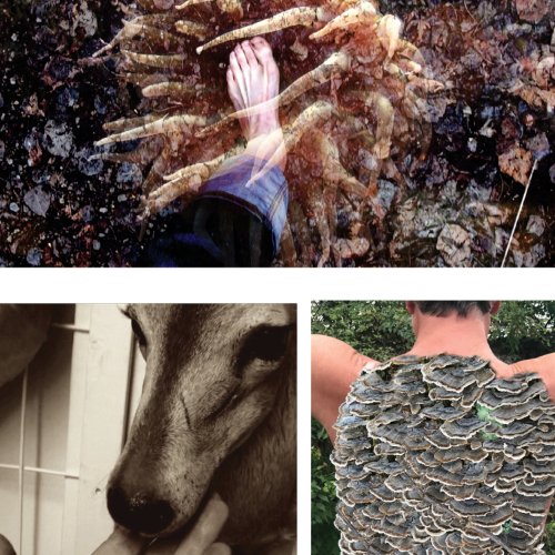 Photographic work by artist Maria Gambino