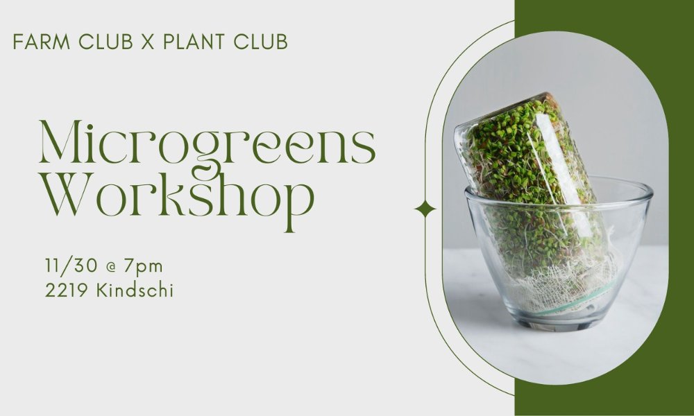 Microgreens Workshop