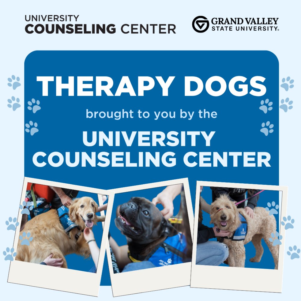 Therapy Dogs brought to you by the University Counseling Center