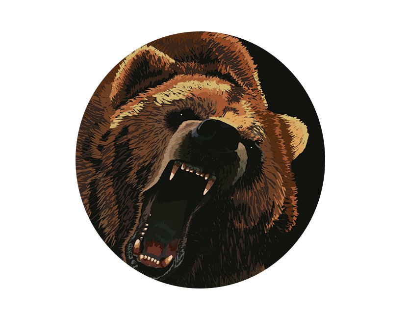 The Bear BFA Show Illustration