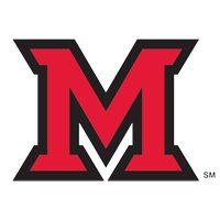 Blizzard Buster Logo