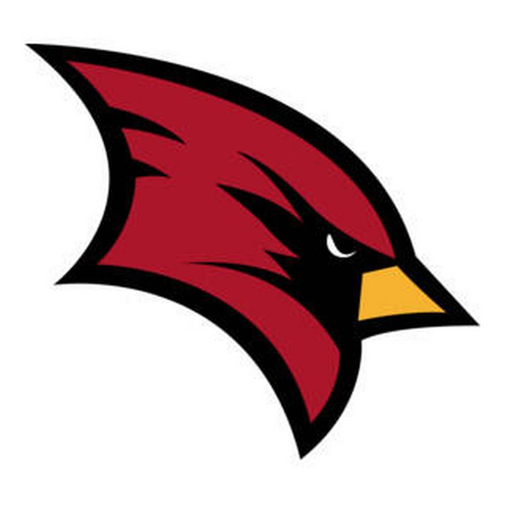 SVSU Logo