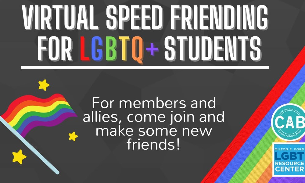 LGBTQIA+ Speed Friending