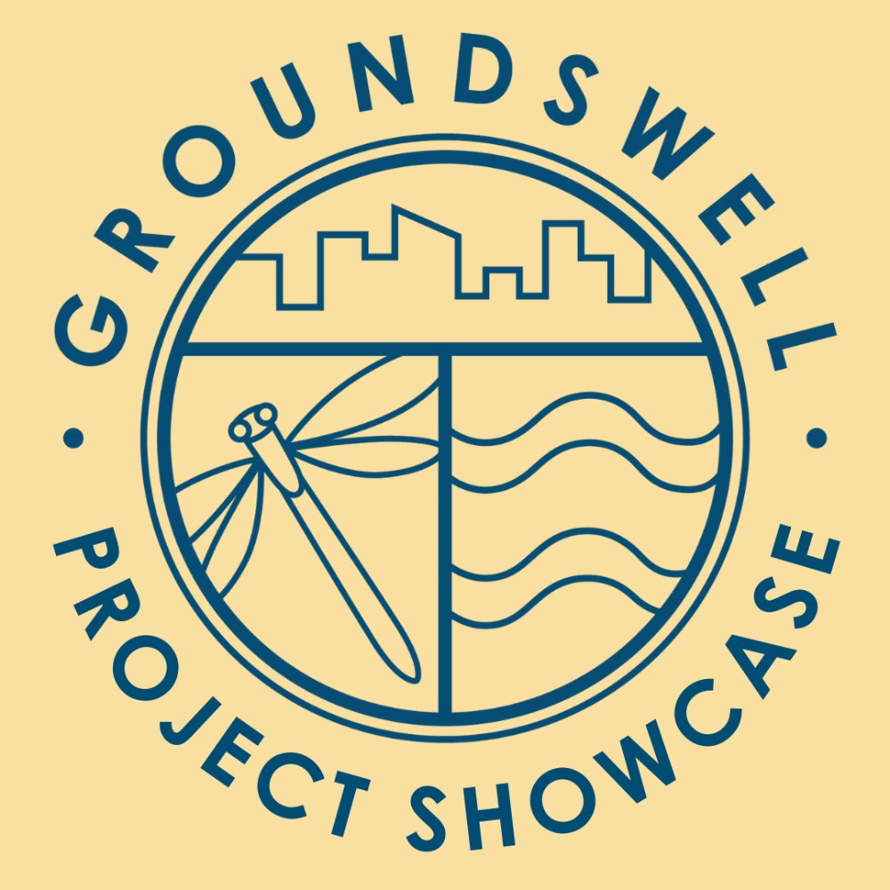 Groundswell Project Showcase Thumbnail