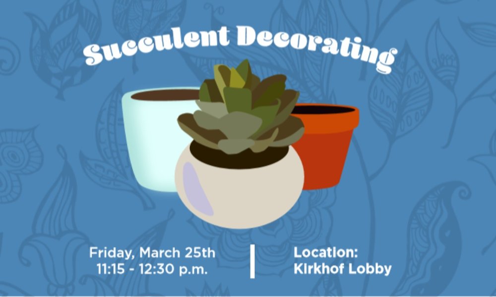 Succulent Pot Decorating