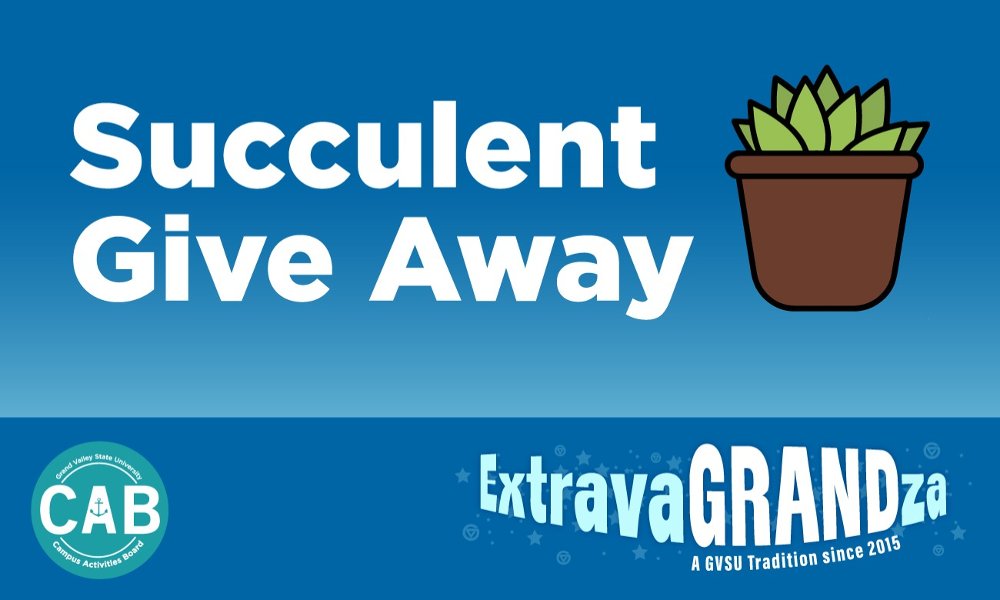 Succulent Give Away!