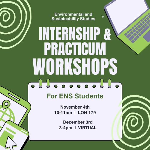 Internship & practicum workshops flyer