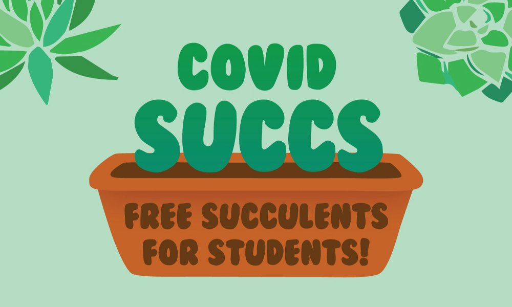 COVID Succs