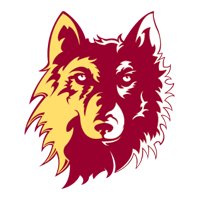 Northern State Logo