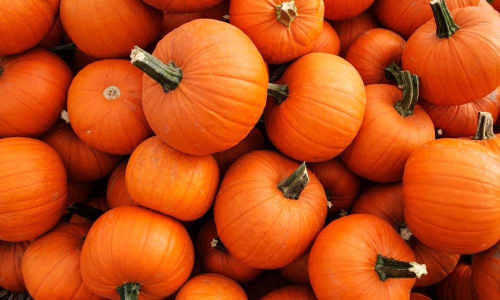 Pumpkin Sale Fundraiser