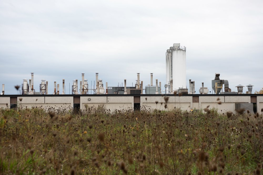 Post-industrial site with smoke stacks and field of dried plants in foreground.