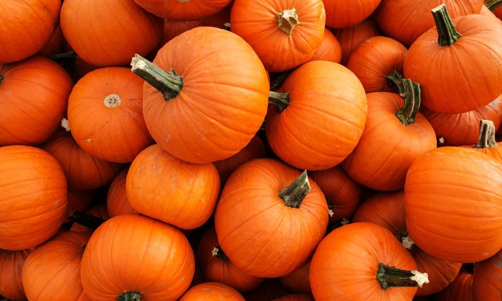 Pumpkin Sale Fundraiser